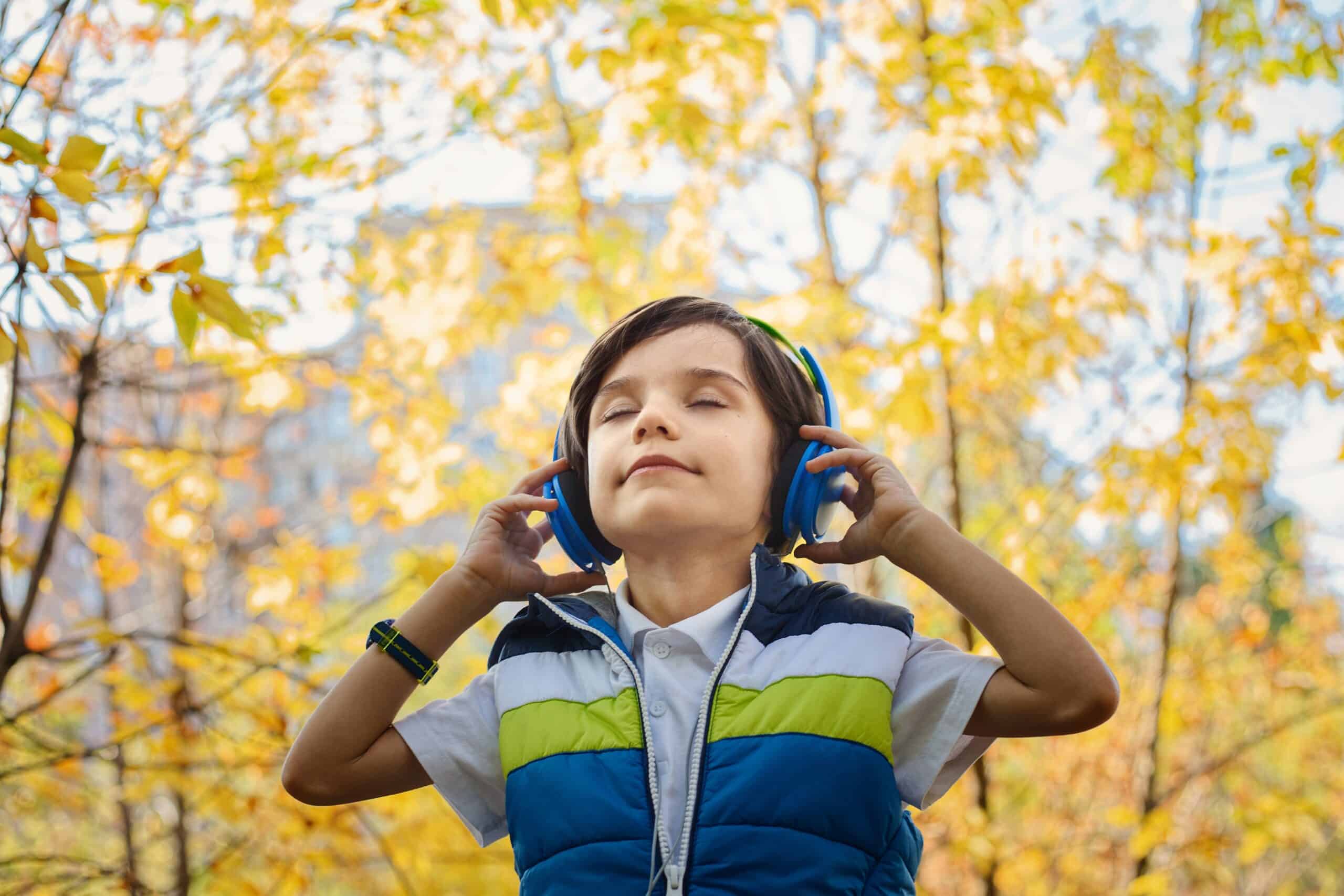Helping Children with Auditory Processing Disorder - Image