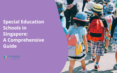 Special Education Schools in Singapore: A Comprehensive Guide