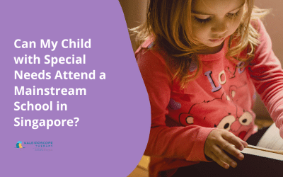 Can My Child with Special Needs Attend a Mainstream School in Singapore?
